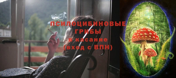 ГАЛЛЮЦИНОГЕННЫЕ ГРИБЫ Абдулино