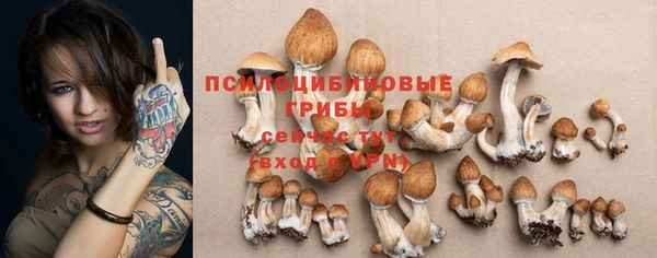 ГАЛЛЮЦИНОГЕННЫЕ ГРИБЫ Абдулино
